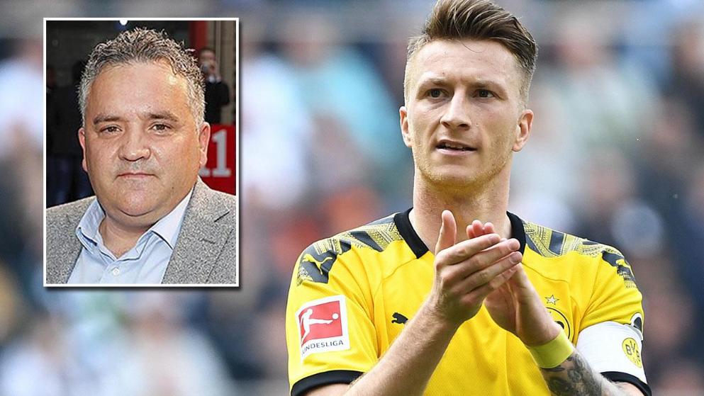 球迷的集体 球迷的集体